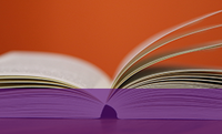 LETRAS - LÍNGUA PORTUGUESA (SEGUNDA LICENCIATURA)