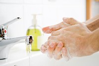 Medidas básicas de higiene podem evitar contágio de doenças 